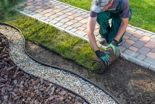 Spring into Action: Landscaping Edition